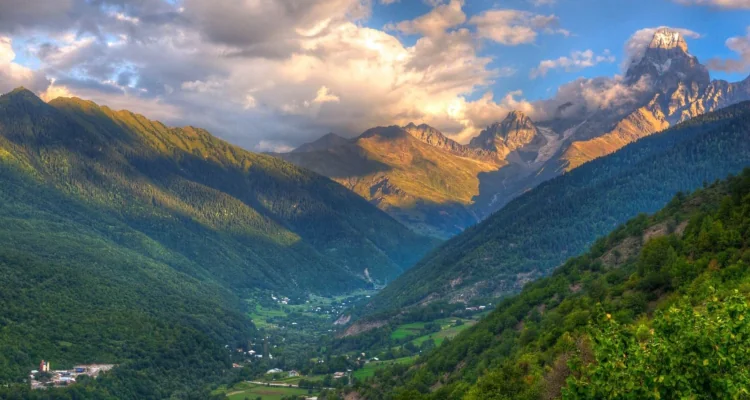 Taxation of companies in the virtual zone of Georgia